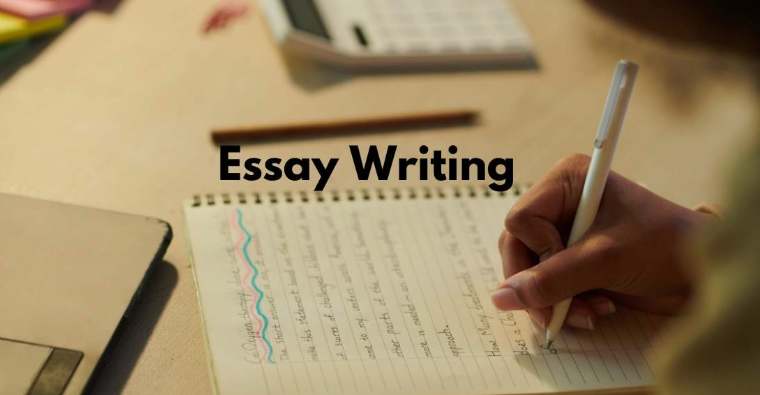 19+ Phrases and Words to Use in an Essay to Sound Smart